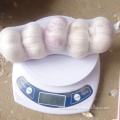 /msite/products/detail/productid/57631130/id/677584.html